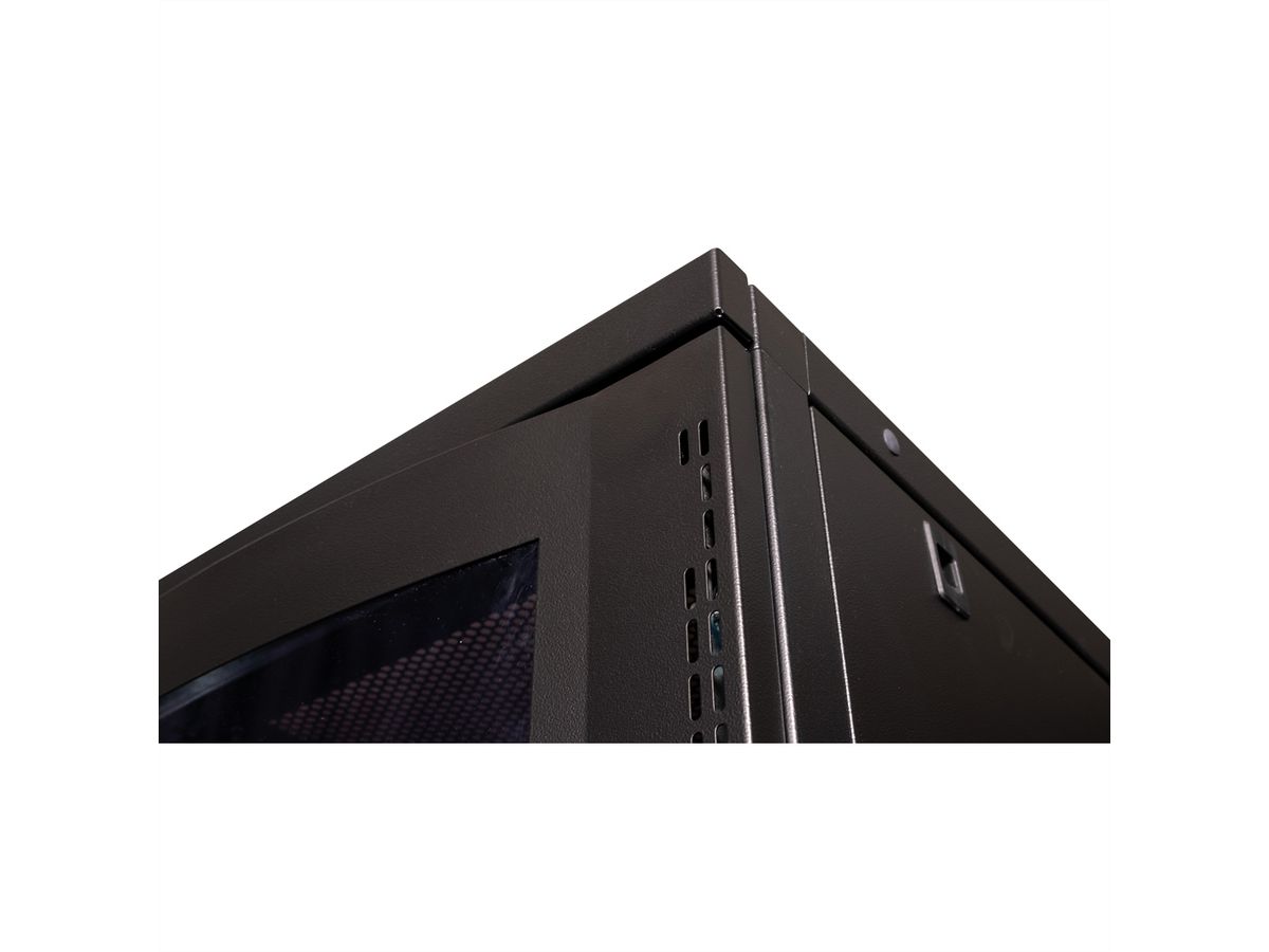 ROLINE 19-inch server rack 42 U, 600x1000 BxD zwart plexiglas