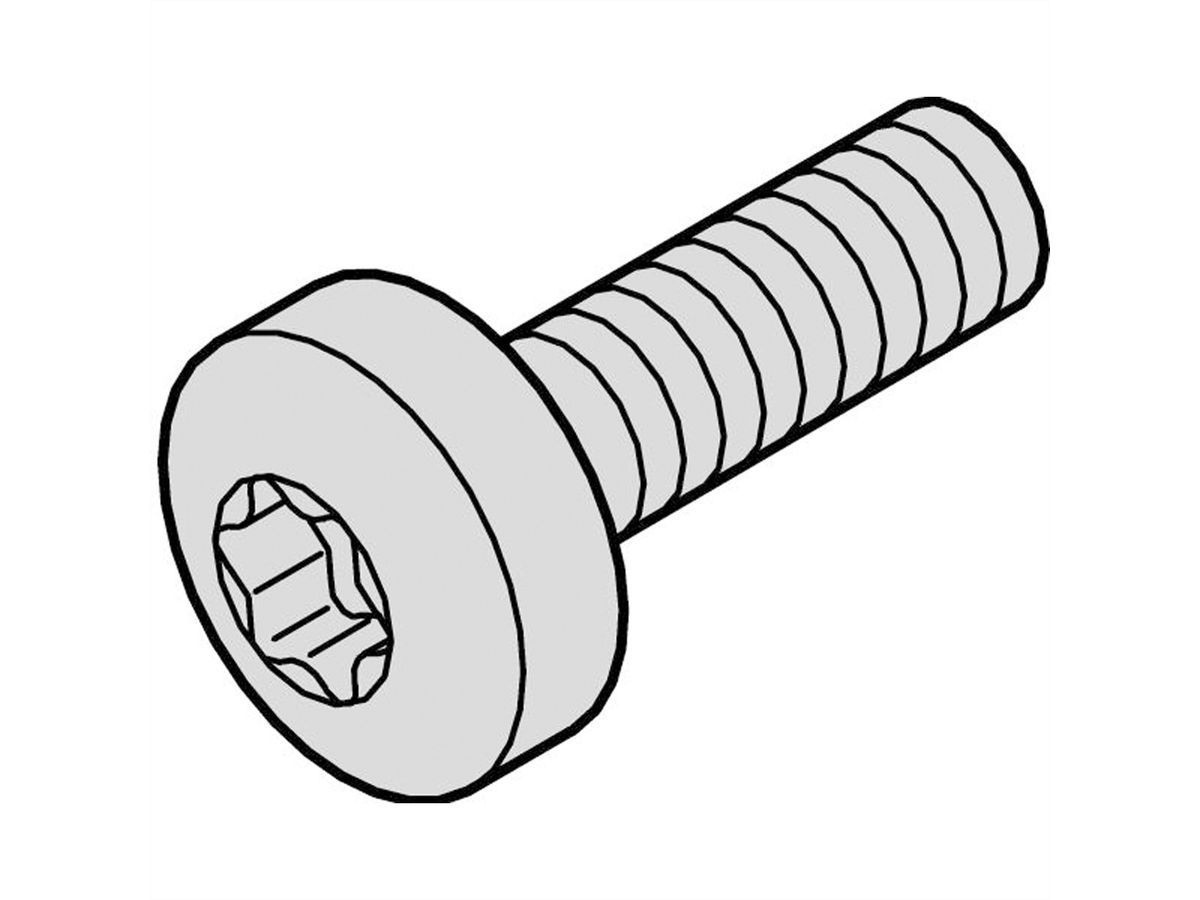 SCHROFF cilinderkopschroef, Torx, M4 x 14, 100 stuks