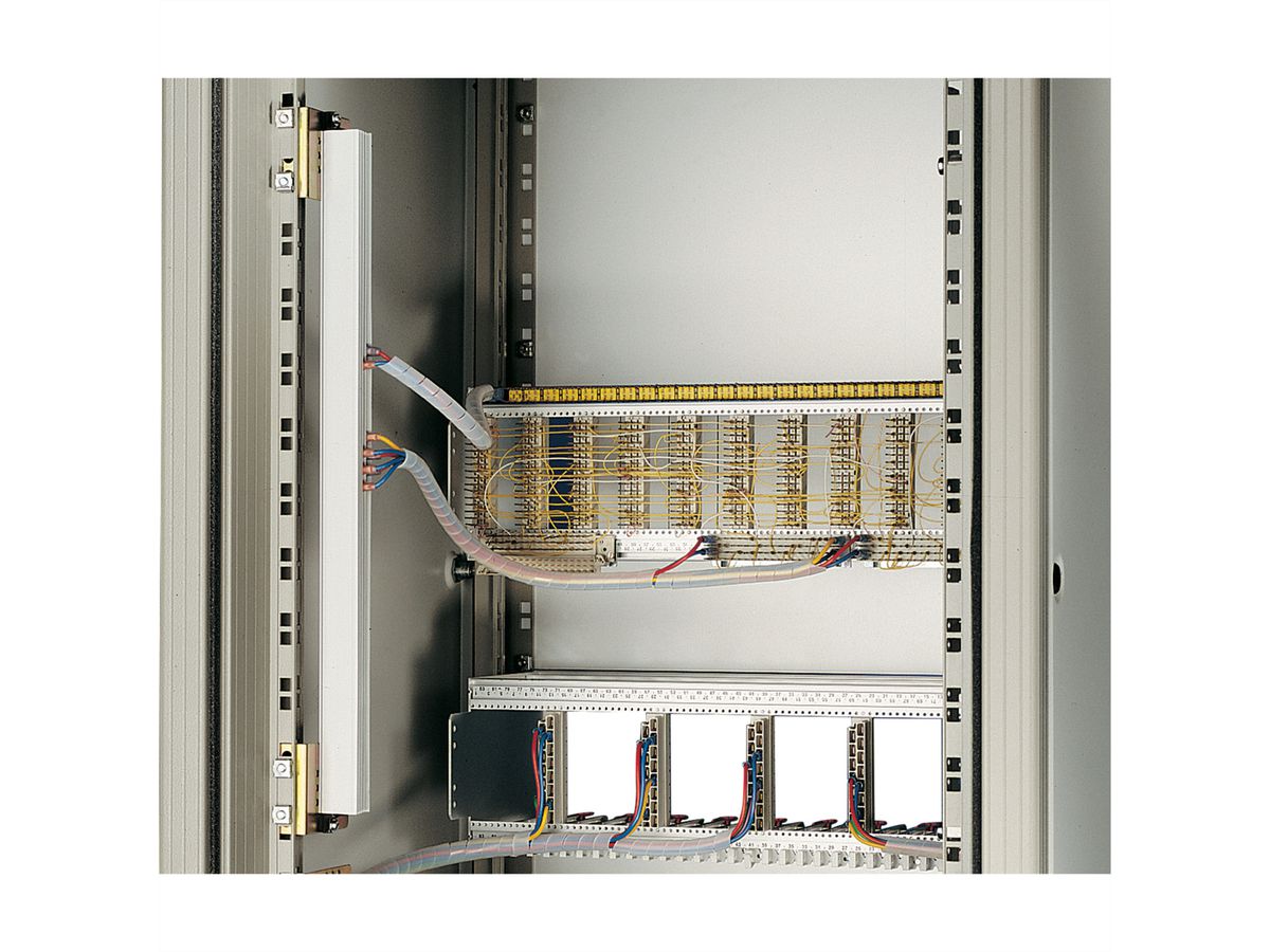 SCHROFF Busbar With FASTON Connections, 2 Pole, brass tin-Plated