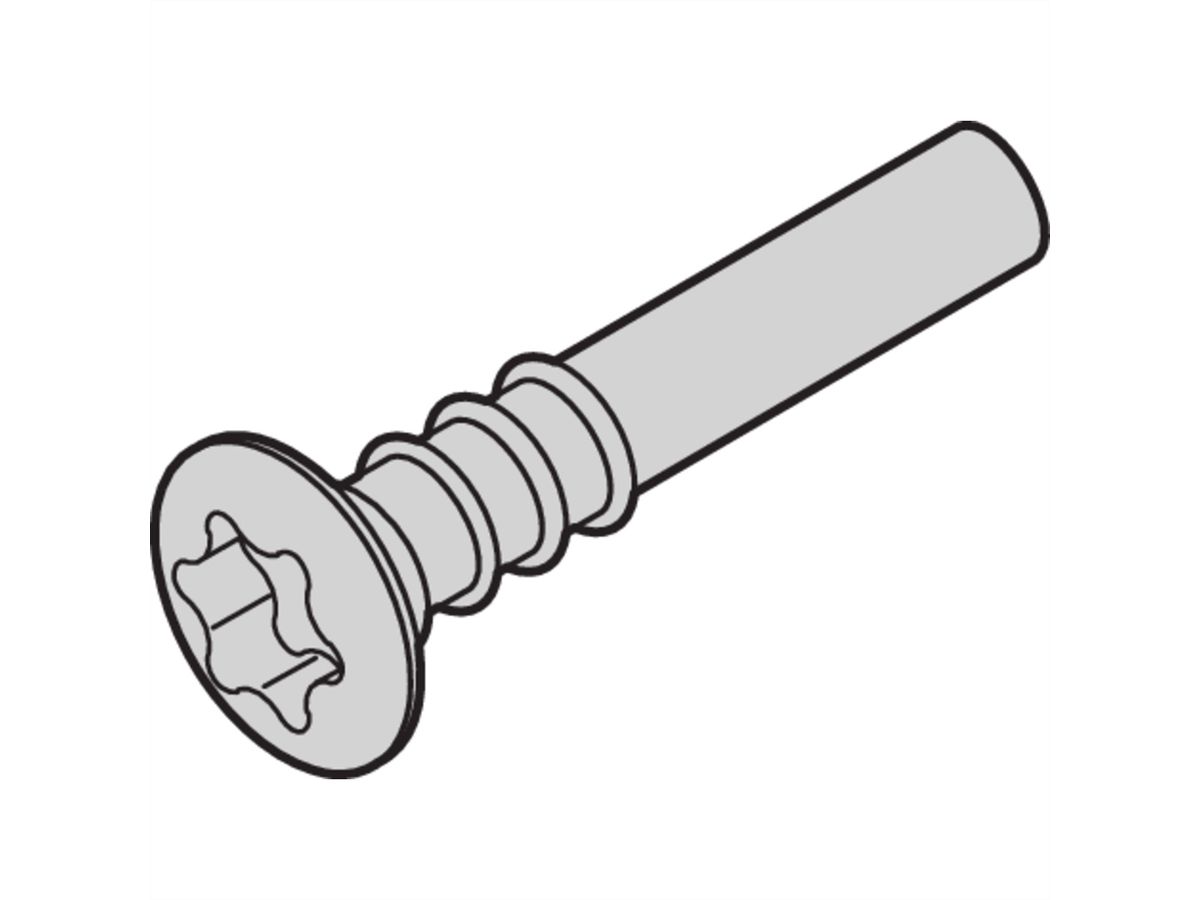 SCHROFF Countersunk head screw, Torx, 3 x 20, 100 pcs