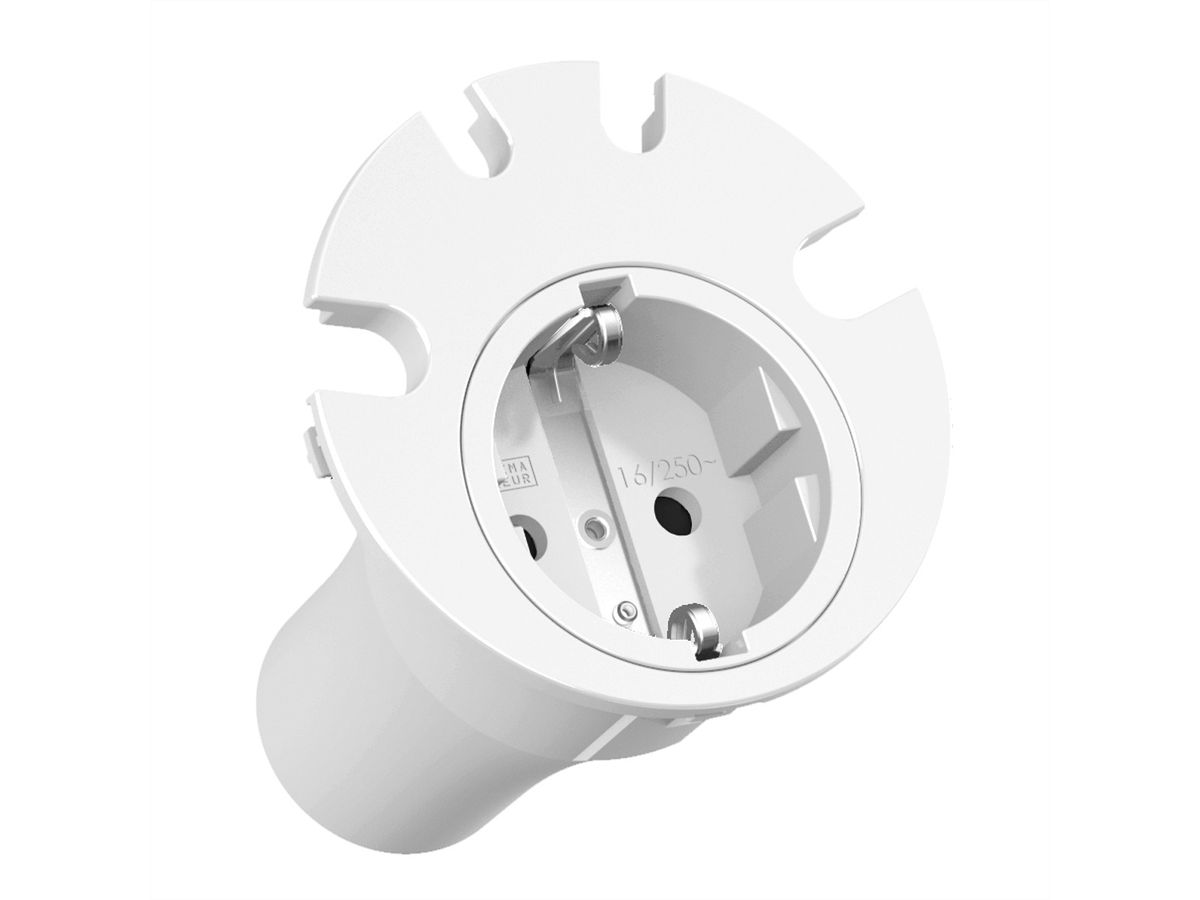BACHMANN LOOP IN cable gland, white