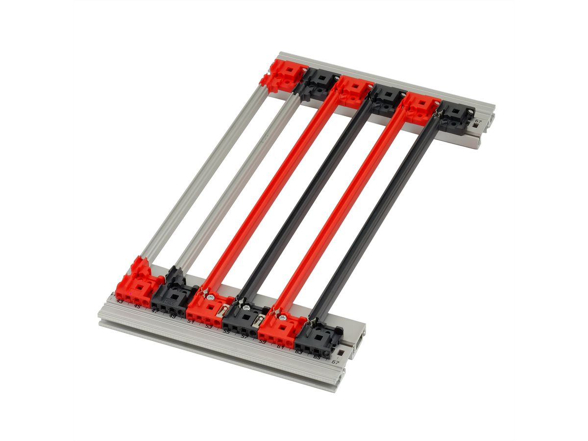 SCHROFF geleiderail met codering voor CompactPCI/ VME64x, PC, 160 mm, 2 mm groefbreedte, rood