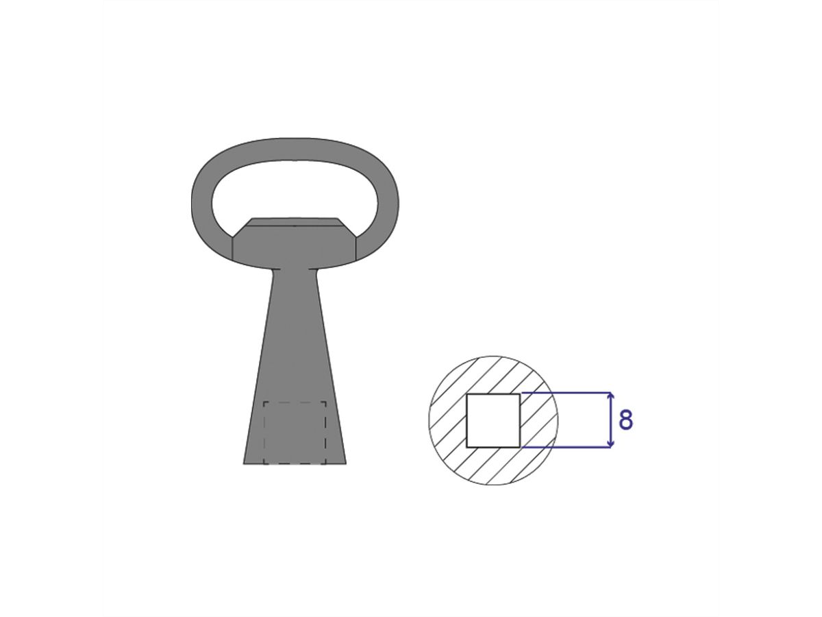 SCHROFF Key 8 mm Square Lock