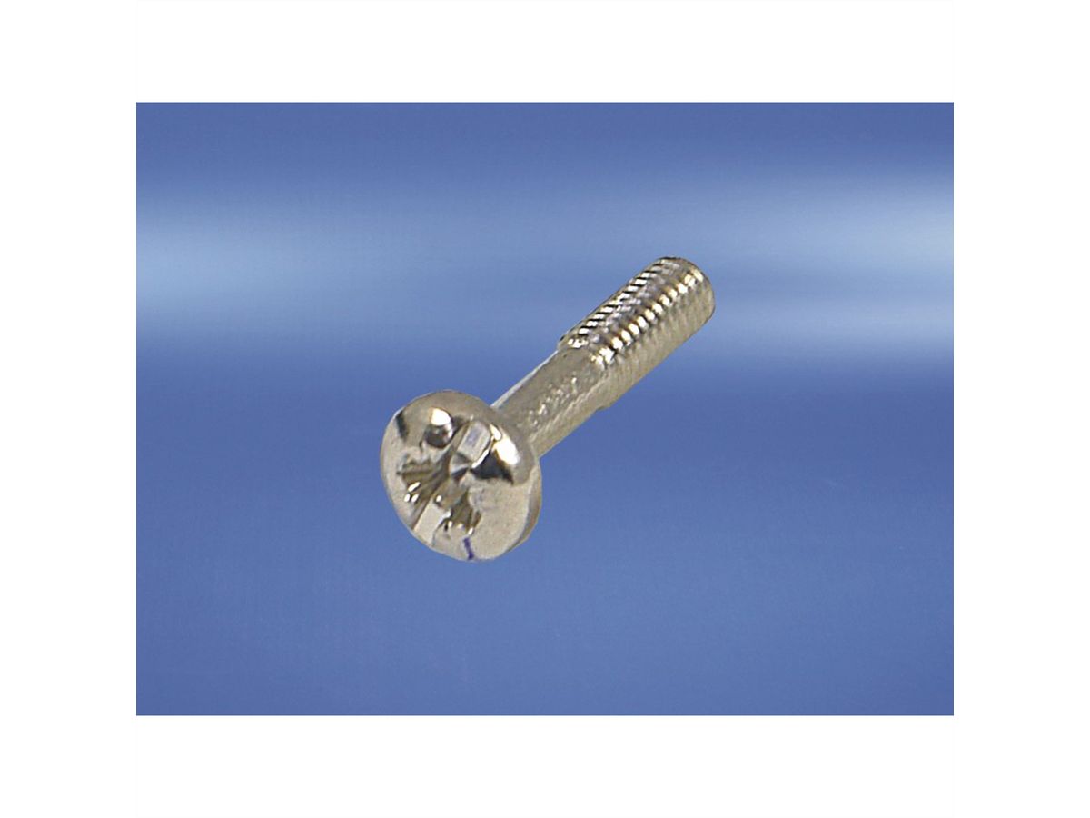 SCHROFF Collar Screw, Cross Recess/Slotted, M2.5 x 12.3 mm, Steel Black, 100 pieces