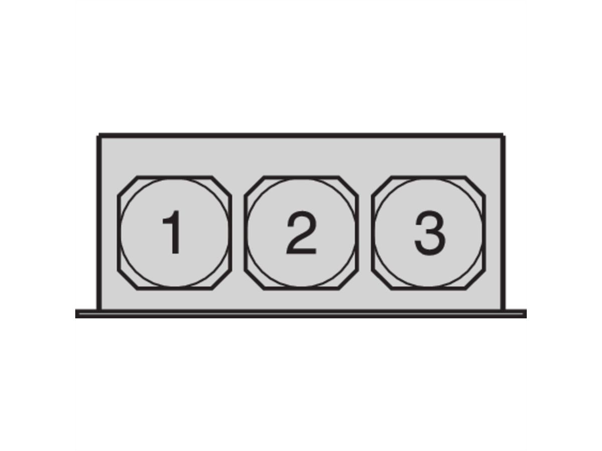 SCHROFF 19" ventilatorbehuizing, 1 HE voor 3 ventilatoren, 38 mm