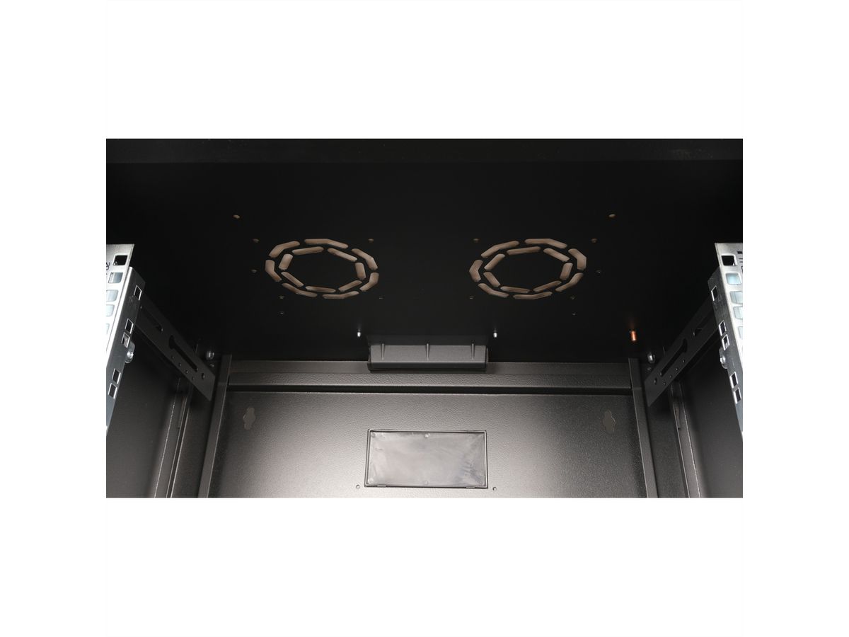 ROLINE 19-inch wall-mounted housing Pro 20 U, 600x450 WxD black