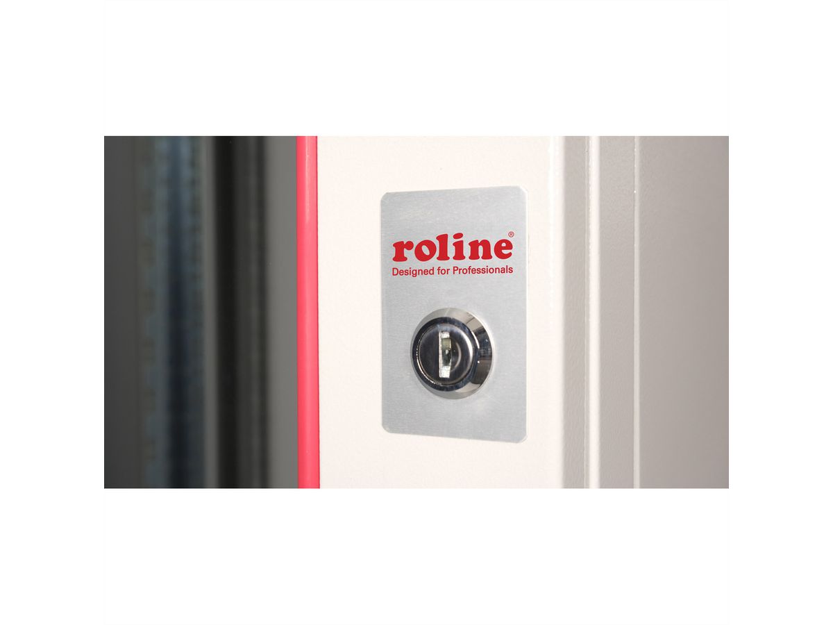 ROLINE 19-inch wall-mounted housing Pro 12 U, 600x450 WxD grey