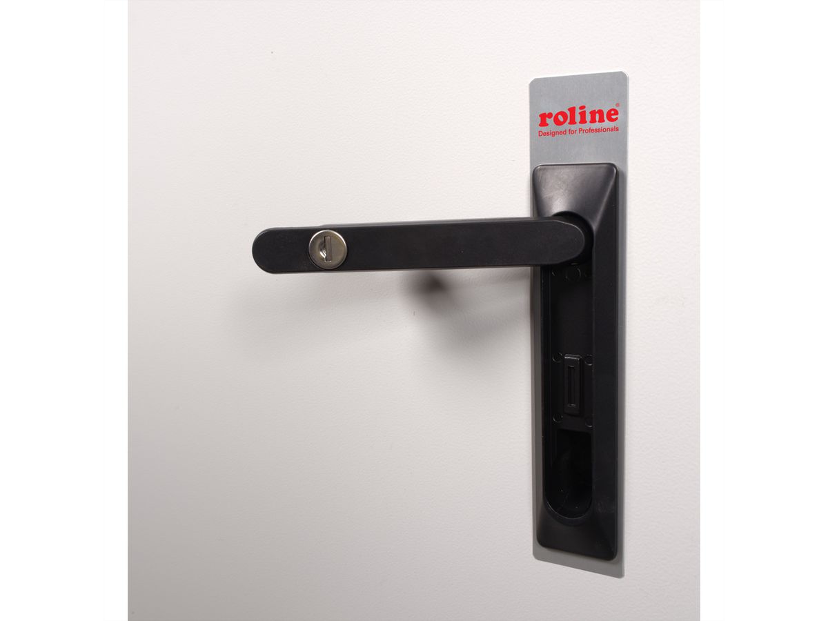 ROLINE 19-inch wall-mounted housing Pro 12 U, 600x600 WxD IP55 outdoor grey