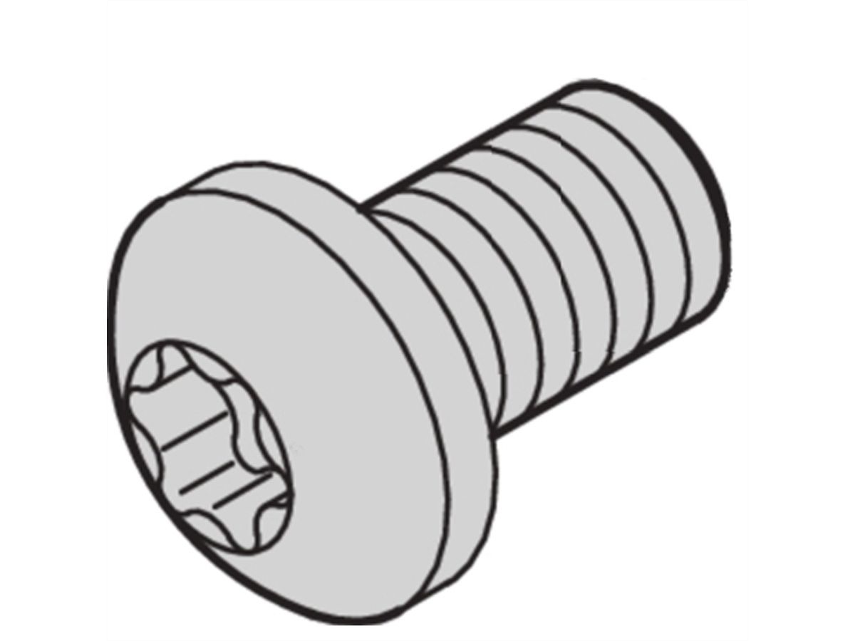 SCHROFF Panhead Screw, Torx, GND Function, Steel Zinc Plated, M4 × 6 mm, 100 Pieces