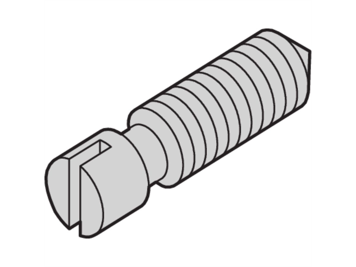 SCHROFF Grub Screw, Steel Nickel Plated, M3.0 x 8