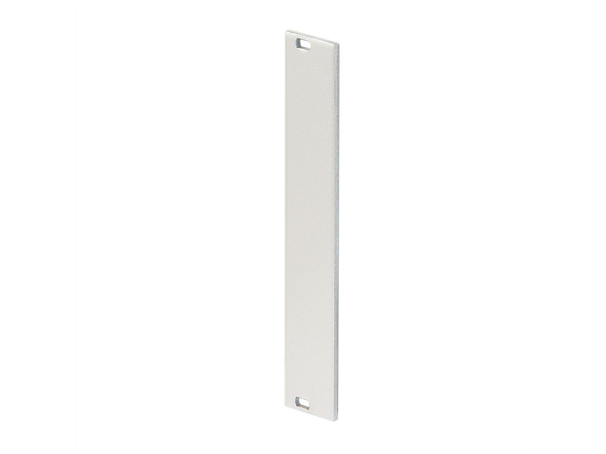 SCHROFF Front Panel, Unshielded, 3 U, 10 HP, 2.5 mm, Al, Anodized, Untreated Edges