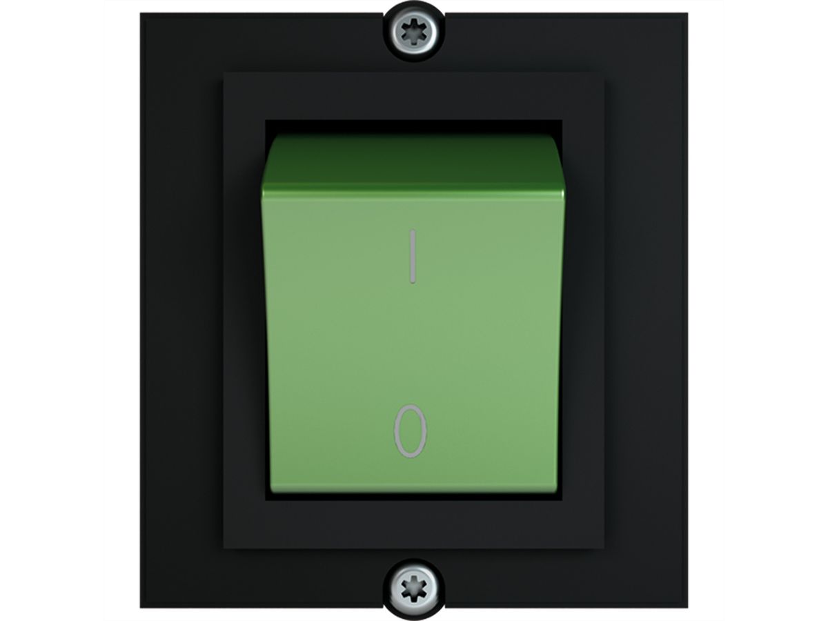 BACHMANN frame 1x schakelaar 2-polig groen , Stroom 1,0m AEH