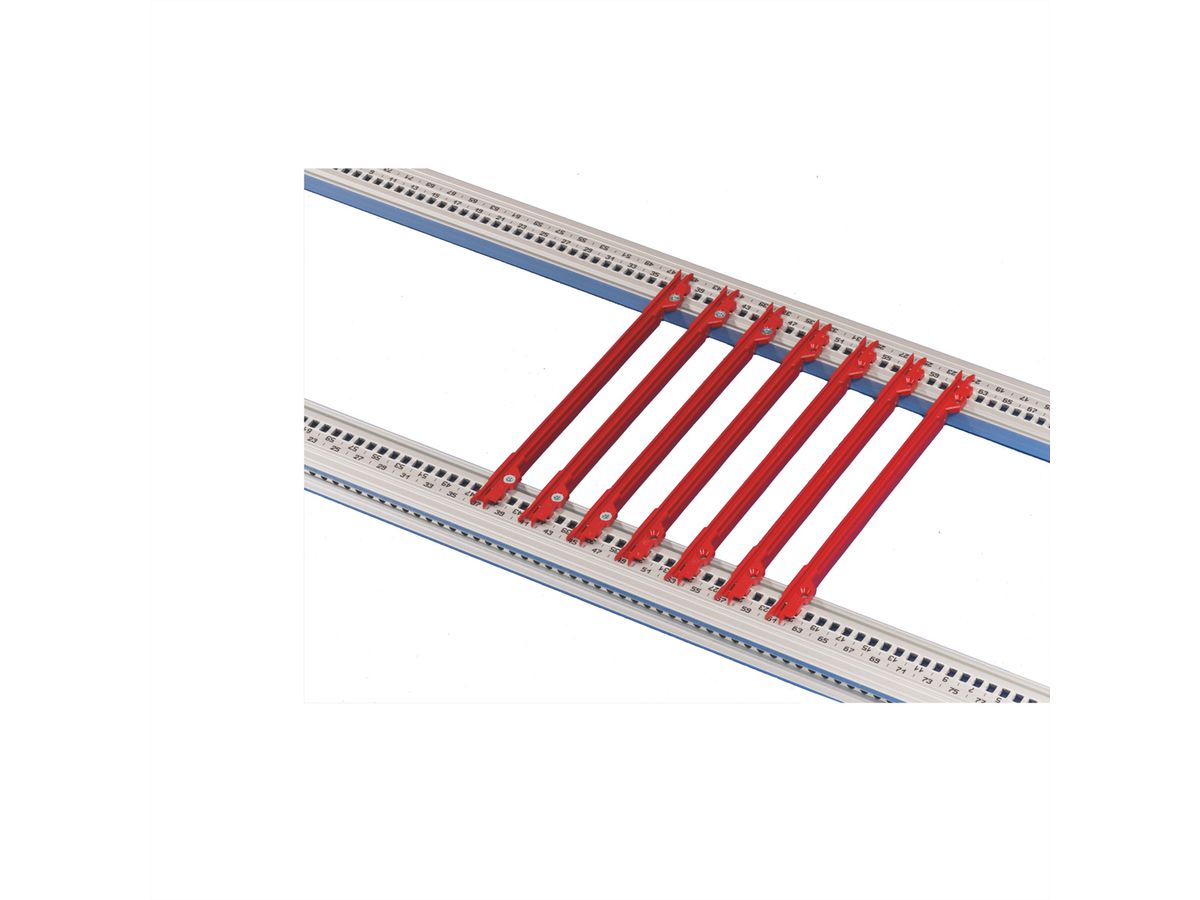 SCHROFF geleiderail, 4,4" printplaat type, kunststof, 220 mm, 2,5 mm groefbreedte, rood, 50 st.