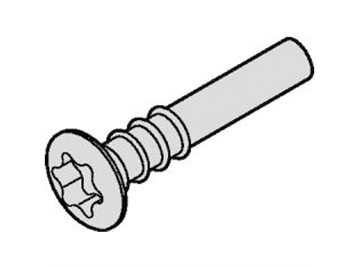 SCHROFF Countersunk head screw, Torx, 3 x 20, 100 pcs